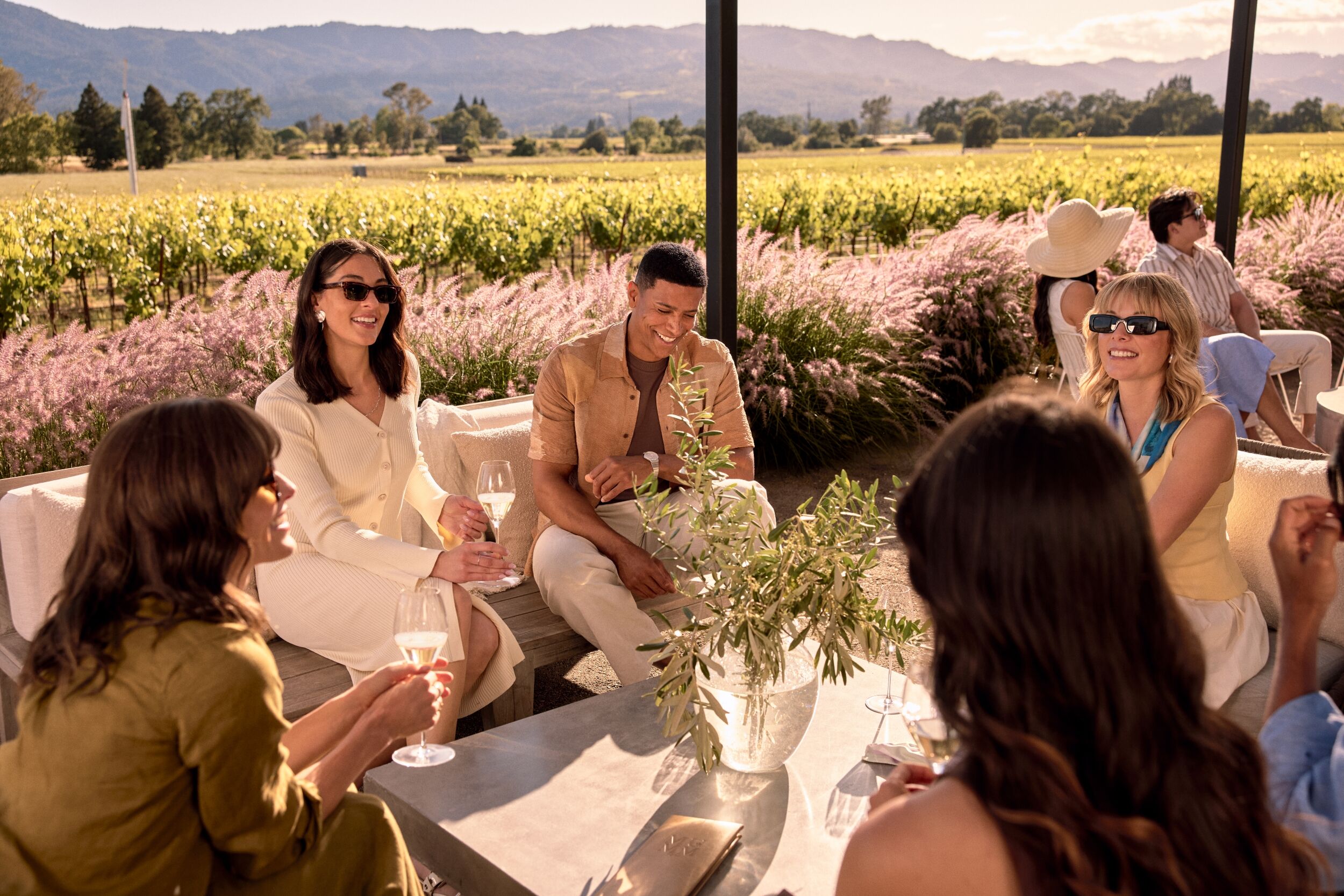 2017 DVX | Mumm Napa